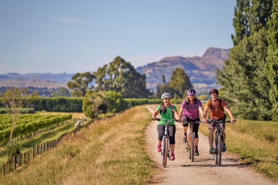 Hawke's Bay Cycle Trails