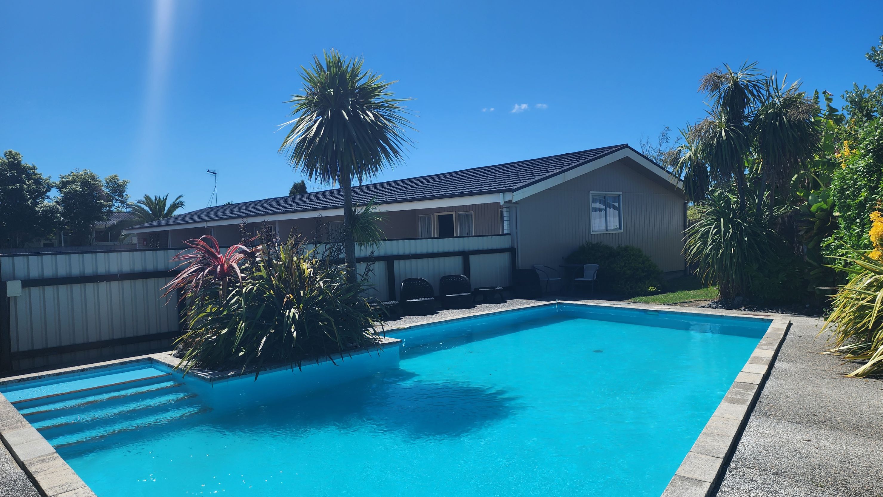Napier accommodation